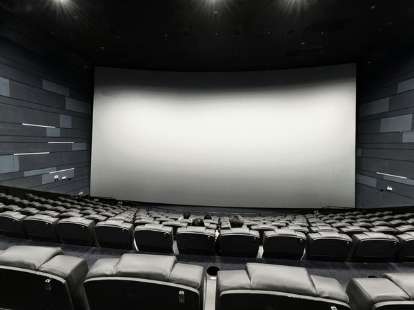 Les ONG et la Neutralité Carbone : Un Engagement Mondial sans Frontières